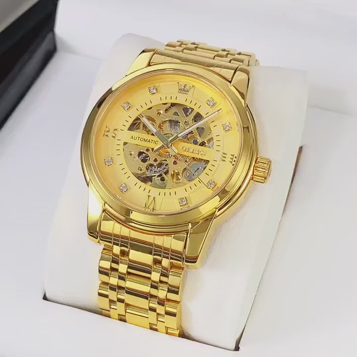 ChronVeil Phantom Skeleton Automatic Watch